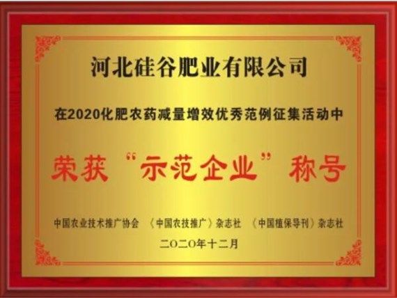 示范企業 | 河北硅谷肥業：推廣有機硅功能肥 助力化肥減量增效